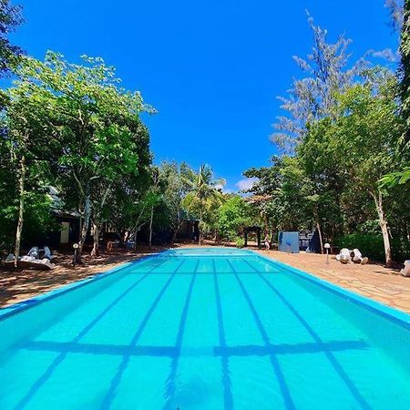 Kijani Cottages In Diani ディアニ・ビーチ エクステリア 写真