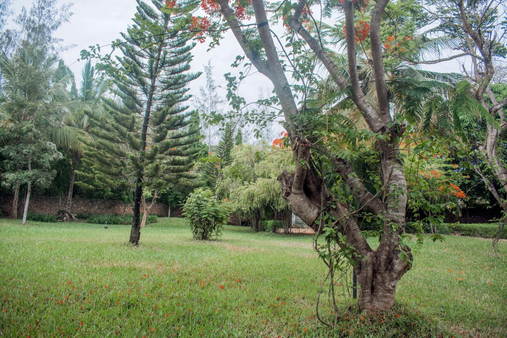 Kijani Cottages In Diani ディアニ・ビーチ エクステリア 写真