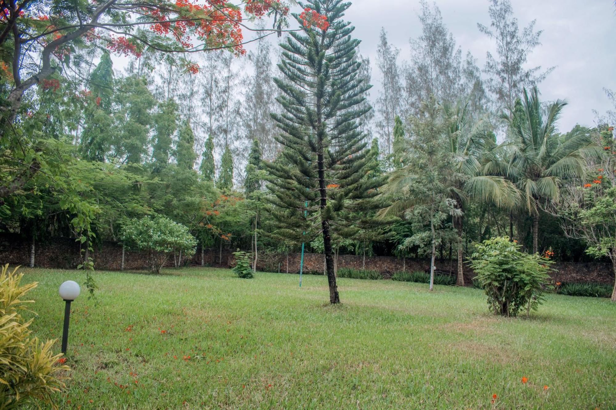 Kijani Cottages In Diani ディアニ・ビーチ エクステリア 写真
