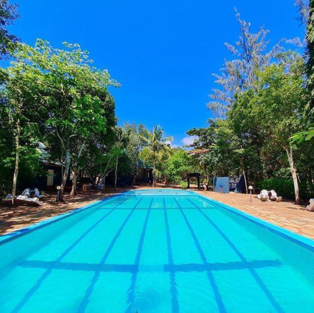 Kijani Cottages In Diani ディアニ・ビーチ エクステリア 写真